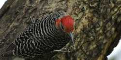 Stacks Image 10764