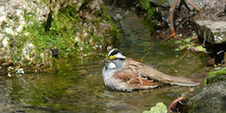 Stacks Image 10674