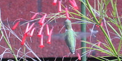 Stacks Image 10478