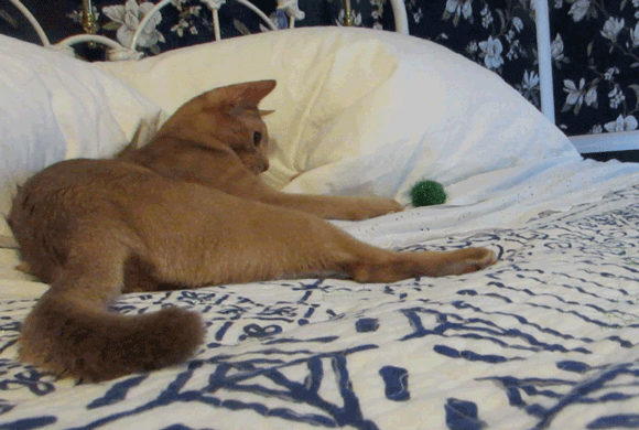 green_ball2