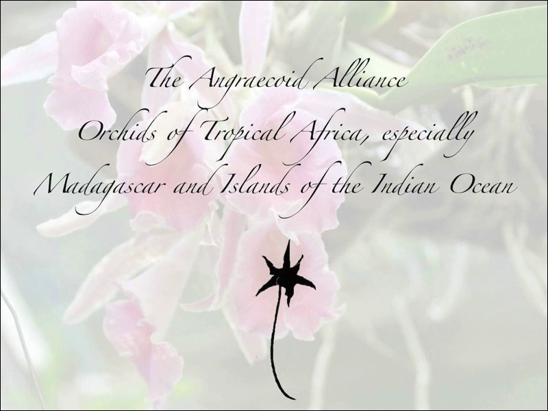 Stacks Image p151125_n157018